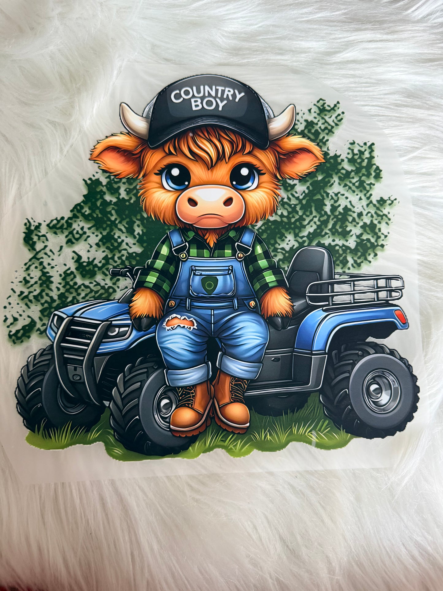 Western/Cows