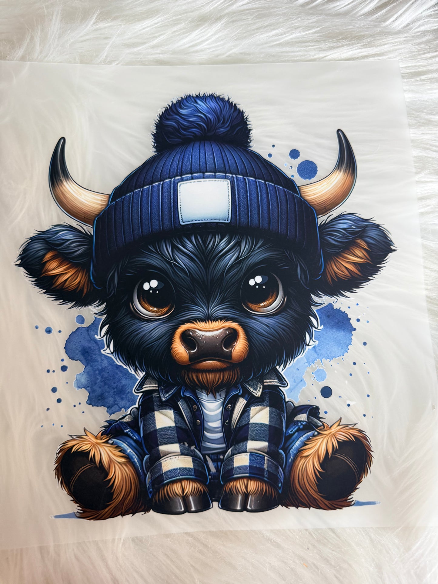Western/Cows