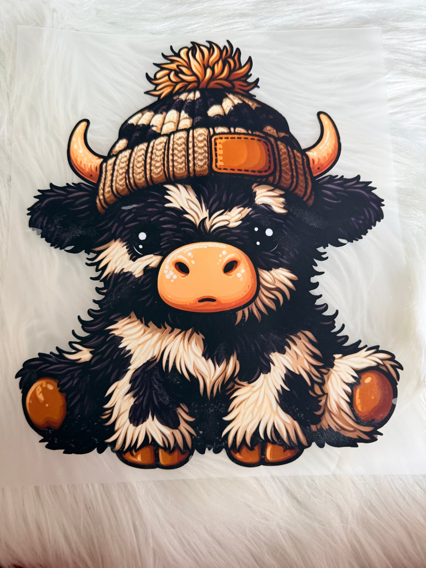 Western/Cows