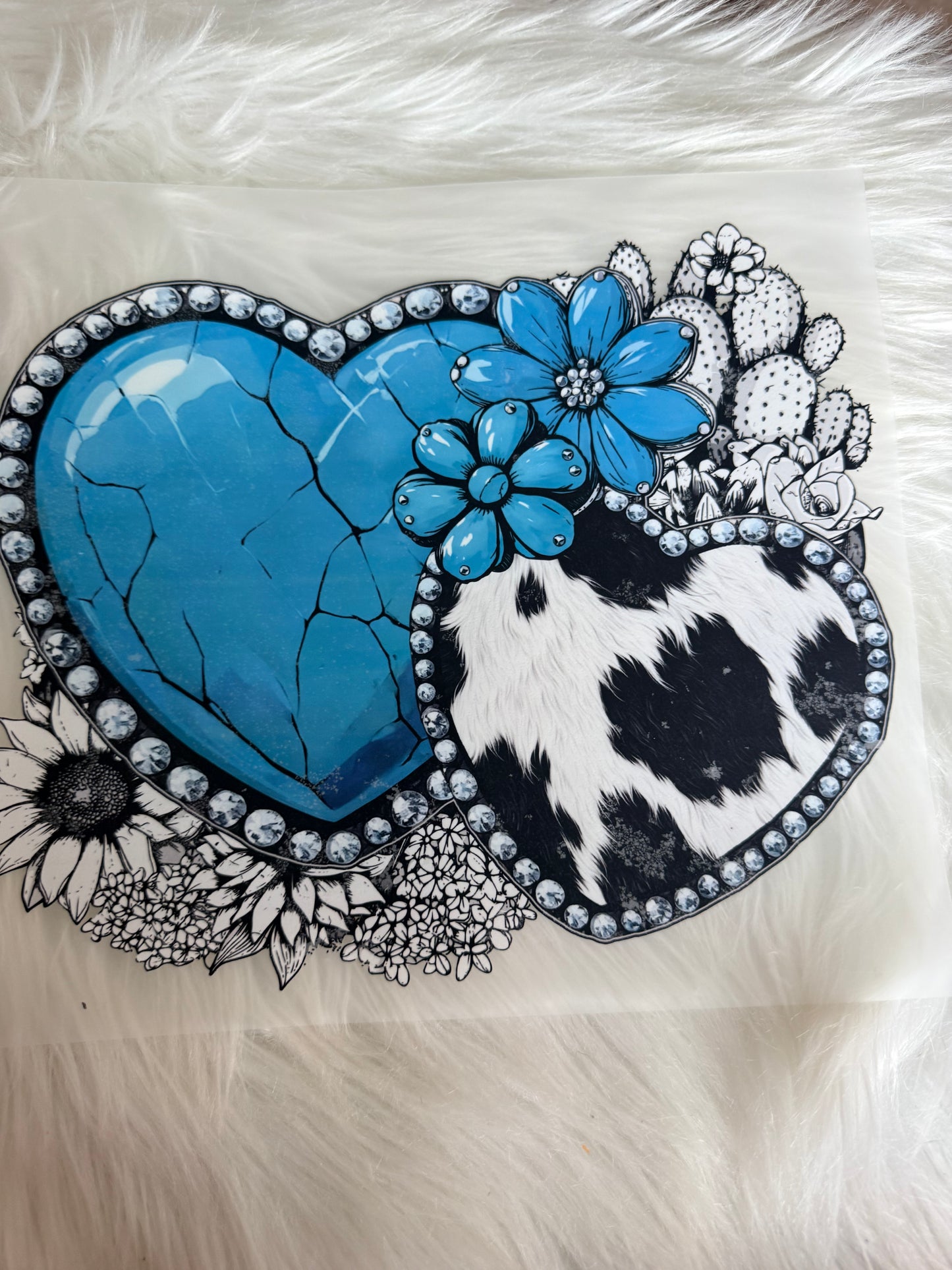 Western/Cows