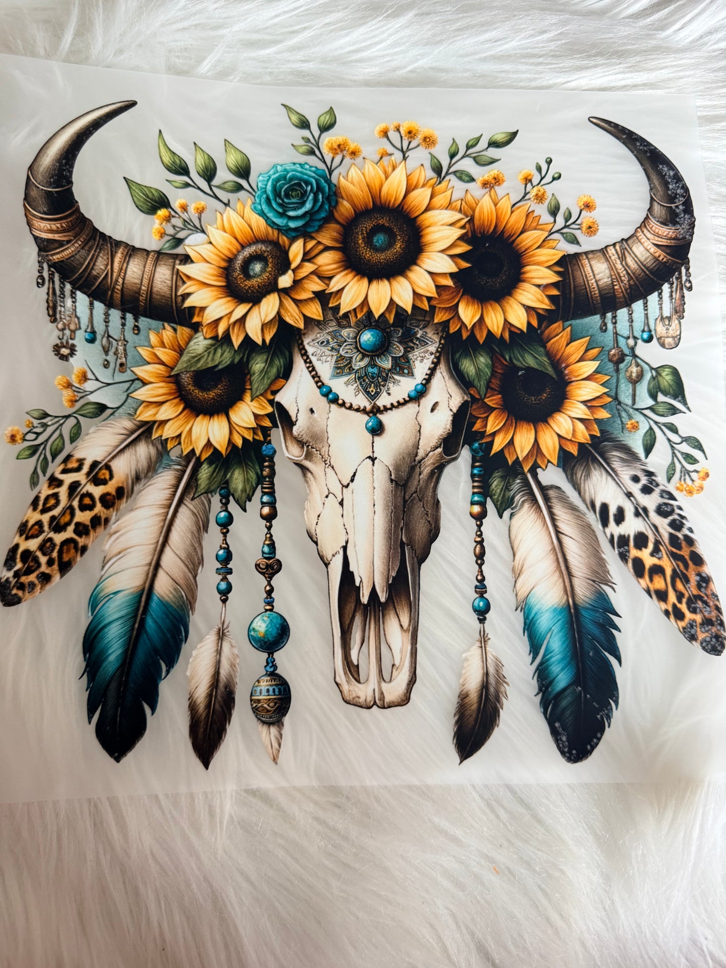 Western/Cows