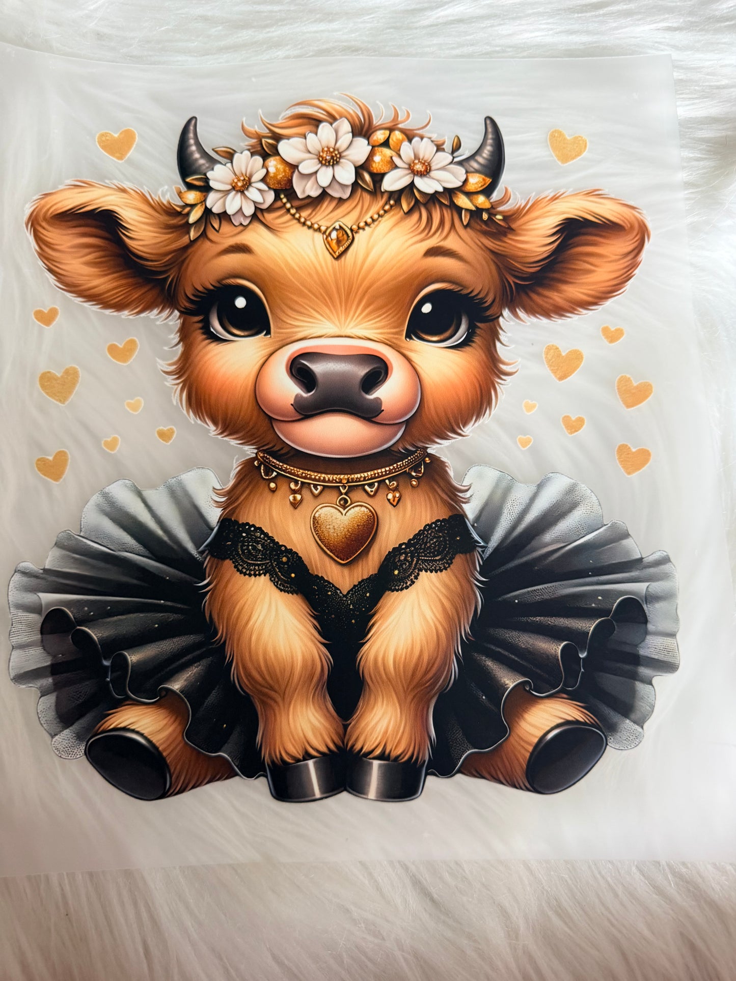 Western/Cows