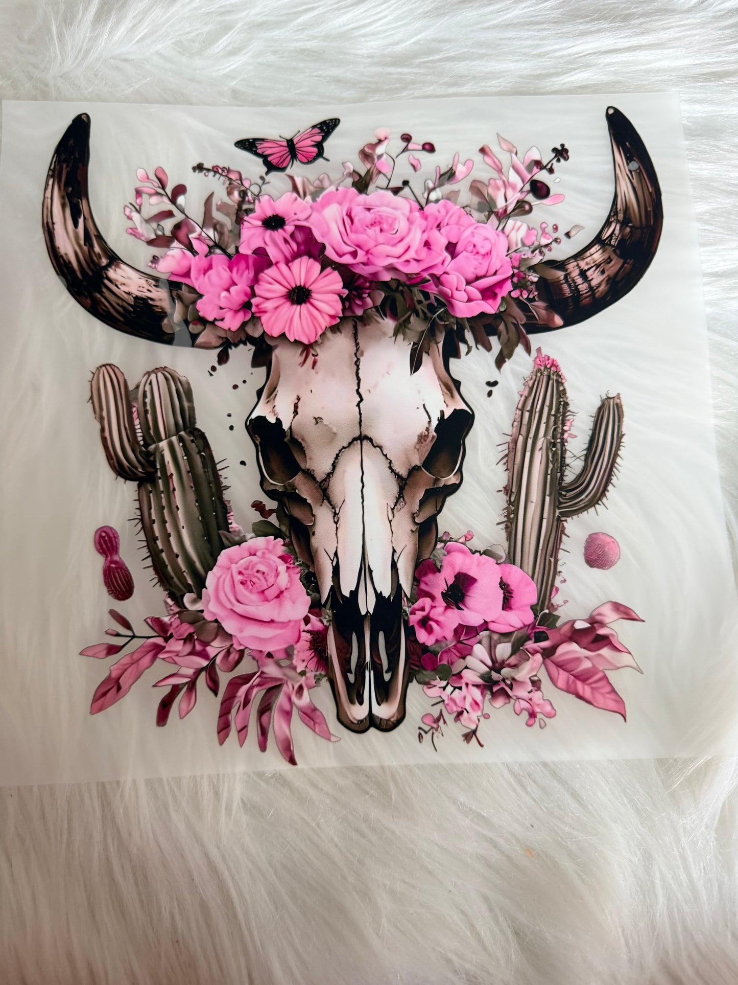 Western/Cows